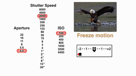 Back to Basics: Short Walkthrough Covers the Exposure Triangle for Beginners | PHOTOS VIDÉOS : TRUCS, ASTUCES, MATÉRIEL | Scoop.it