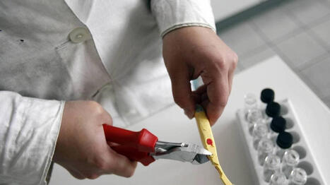 Phtalates potentiellement nocifs&nbsp;: l&rsquo;Anses veut allonger la liste avec &laquo;&nbsp;plus d&rsquo;une quarantaine&nbsp;&raquo; de substances toxiques | ITERG - Veille sectorielle | Scoop.it