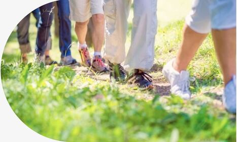 Mappa per trovare i "Gruppi di cammino" in Emilia Romagna | One Health News: salute, ambiente e società - A cura di ISDE, Festival della salute, Marketing sociale. N°19 | Scoop.it
