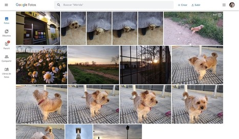 15 trucos para convertirte en un maestro de Google Fotos | TIC & Educación | Scoop.it