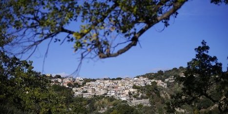 Ville et campagne : dépasser le     « Je t'aime, moi non plus » | Développement économique en milieu rural | Scoop.it
