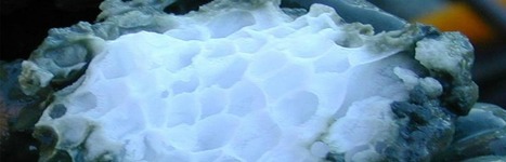 Ruée vers les hydrates de méthane : quand la Chine extrait de la "glace combustible" | DURABILITES | Scoop.it