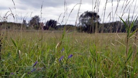 60 hectares privilégiés  - Nature d'ici et d'ailleurs | Biodiversité | Scoop.it