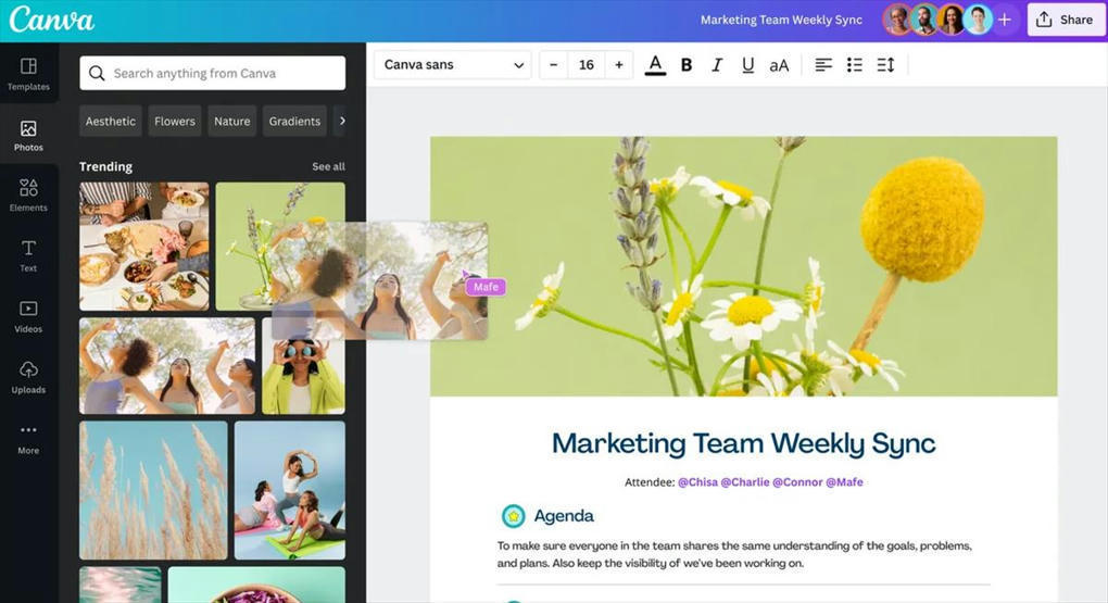 Canva Docs, para competir con Word y Google Doc...