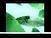 It's About Control of Global Biodiversity: "Silent Forest" Canada tv EN - A VIP VIDEO WATCH | BIODIVERSITY IS LIFE  &ndash; | Scoop.it