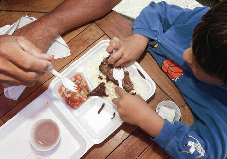 Hawaii County Council considers plastic foodware ban | Industry 411 - Waste Management | Scoop.it