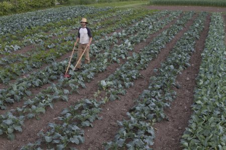 Ce jardinier réinvente l'agriculture sur moins d'un hectare | Nouveaux paradigmes | Scoop.it