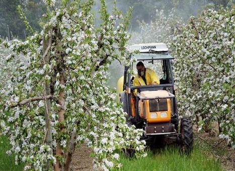 Les pommes françaises sont bien empoisonnées aux pesticides, la justice donne raison à Greenpeace | Les Colocs du jardin | Scoop.it