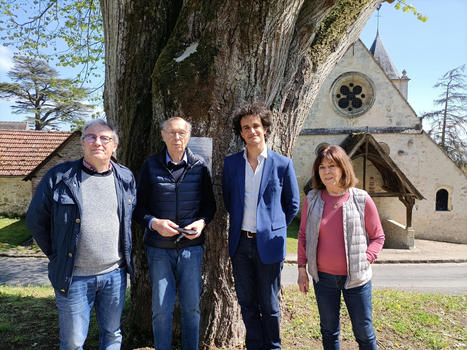 L'arbre bicentenaire de Ronquerolles sauvé de la tronçonneuse | Environnement, paysage et biodiversité | Scoop.it