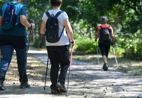 Gymnobus, mobilités actives, inclusion : la Région Centre-Val de Loire veut aider ses habitants à se bouger - Orléans (45000) | 3 - Innovations sociales | Scoop.it