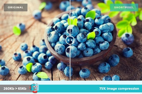 Image Optimization and Compression Plugin and API by ShortPixel | Time to Learn | Scoop.it