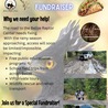 Cayo Scoop!  The Ecology of Cayo Culture