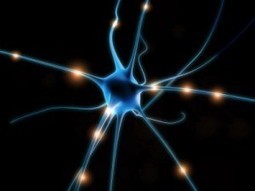 Muscular Empathy | Empathy Movement Magazine | Scoop.it
