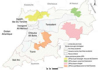 Souss/Economie circulaire: Mobilisation pour la conservation de l’agro-biodiversité - Leconomiste.com | Biodiversité | Scoop.it