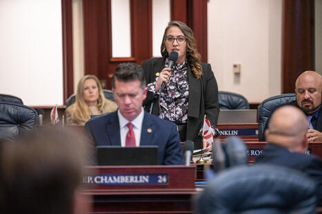 House emphatically passes Debra Tendrich&rsquo;s survivor-backed domestic violence bill - Florida Politics | Operation Oya | Scoop.it
