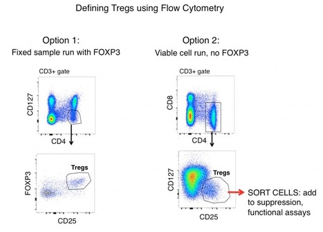 How To Differentiate T-Regulatory Cells (Tregs) By Flow Cytometry | Expert Cytometry | Cell Gating Strategies | Immunology Diagnosis | Scoop.it