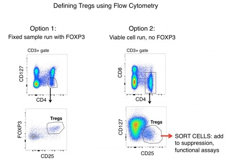 How To Differentiate T-Regulatory Cells (Tregs) By Flow Cytometry | Expert Cytometry | Cell Gating Strategies | Immunology Diagnosis | Scoop.it