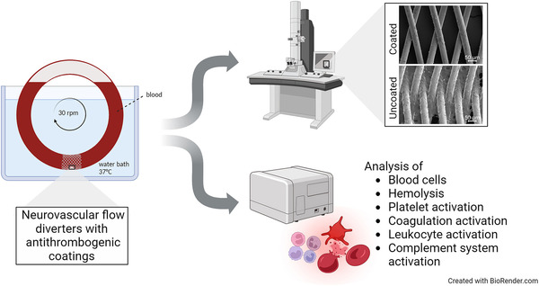 Comparison of the hemocompatibility of neurovascular flow diverters with anti-thrombogenic coatings | Neurovascular Intervention | Scoop.it