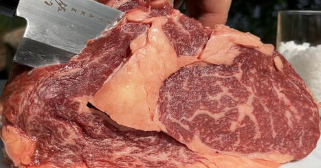 Ylellinen wagyu-liha l&ouml;ysi tiens&auml; Suomeen &ndash; n&auml;in sit&auml; tuotetaan | Etel&auml;-Pohjanmaa | Yle | A1Uutiset | Scoop.it