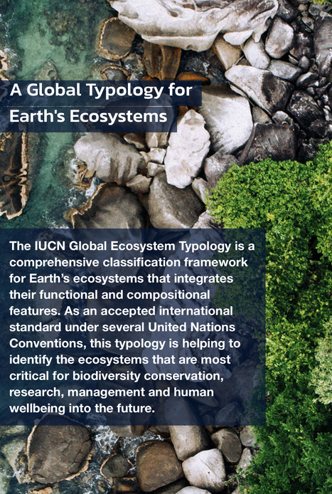 Global Ecosystem Typology | Biodiversity, Climate Change, Environment, Conservation, Forestry, Fisheries, Oceans and Coasts | Scoop.it