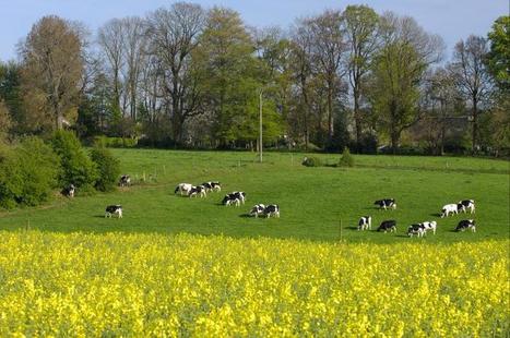 La polyculture-élevage pourrait mieux valoriser ses atouts | Lait de Normandie... et d'ailleurs | Scoop.it