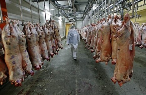 La fête de l’Aïd commence ce mardi : les abattoirs altiligériens s’organisent | La Gazette des abattoirs | Scoop.it