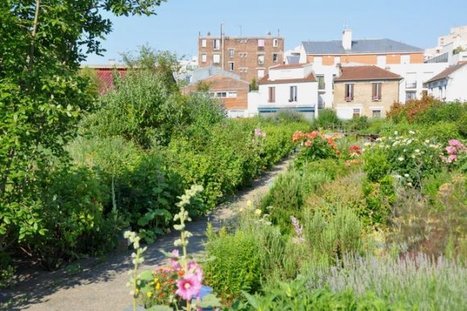 Le potager des Lilas : Un jardin pour transmettre son savoir | Les Colocs du jardin | Scoop.it