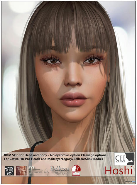 Hoshi Skin For Catwa HDPro Heads August 2021 Group Gift by CHSkins | Teleport Hub - Second Life Freebies | Teleport Hub | Scoop.it