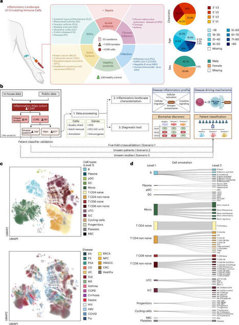 #immunology #scrna #omics #autoimmunity | Nicola Ferrari | AUTOIMMUNITY | Scoop.it