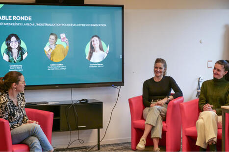 Les &eacute;tapes cl&eacute;s de la R&D &agrave; l'industrialisation | Innovation Agro-activit&eacute;s et Bio-industries | Scoop.it