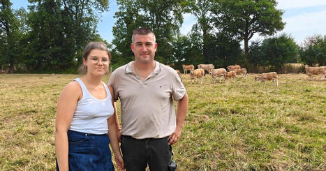 La F&ecirc;te de la Madeleine, "c'est le petit concours de Paris &agrave; Mayenne" pour les &eacute;leveurs - ICI | Agriculture en Pays de la Loire | Scoop.it