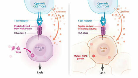NEJM Group on LinkedIn: #medicalresearch | Immunology | Scoop.it
