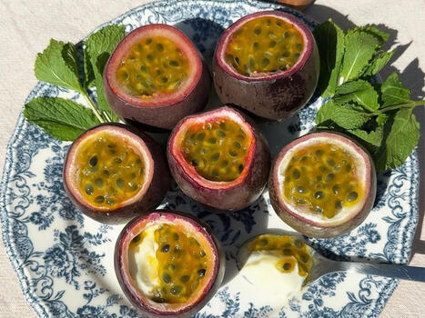 Passionfruktspannacotta | 1Uutiset - Lukemisen t&auml;hden | Scoop.it