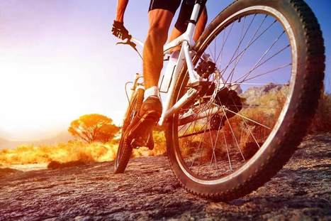cycling frelsi store