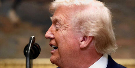 Trump proclaims himself 'Mr Tariff' in thunderous morning rant - Raw Story | Backstabber Watch | Scoop.it