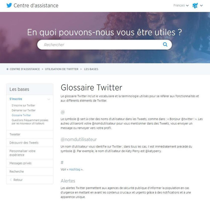 61 mots pour comprendre et maîtriser Twitter | TIC, TICE et IA mais... en français | Scoop.it