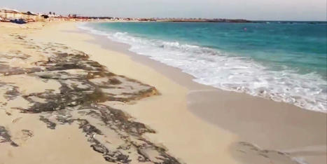 Coastal Erosion Shocks EGYPT's North Coast, Environment Ministry Investigates | CIHEAM Press Review | Scoop.it
