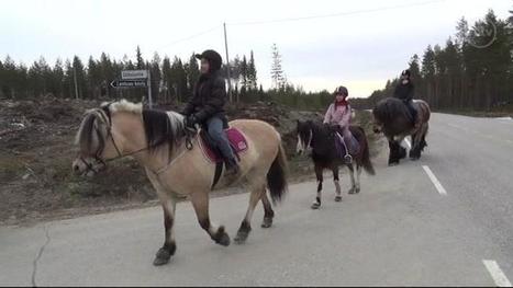 Kelirikko esti koulutaksin k&auml;yt&ouml;n &ndash; siskokset karauttivat hevosella kouluun, is&auml; rakensi hevosille parkin | 1Uutiset - Lukemisen t&auml;hden | Scoop.it
