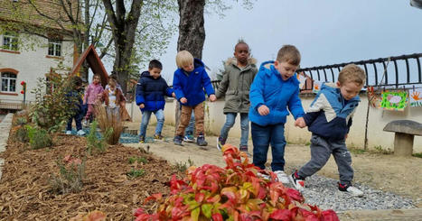 Saint-Louis | L'école Sarasin, un îlot de fraîcheur végétalisé par les enfants | Actu Archi-Urba-Environnement-Paysage | Scoop.it