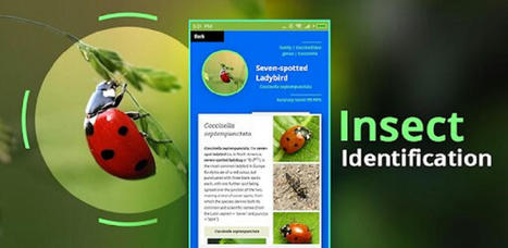 Reconnaitre un insecte avec une photo : top 5 applications smartphone ! | Variétés entomologiques | Scoop.it