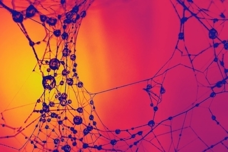New "Artificial Synapse" Gets Closer to Mimicking Brain Connections | Biomimicry | Scoop.it