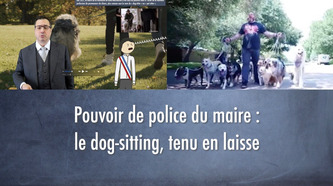 Pouvoir de police du maire : le dog-sitting, tenu en laisse [VIDEO et article] | Politiques publiques et société | Scoop.it
