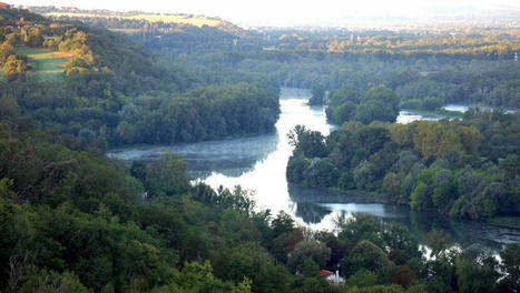 Lacroix-Falgarde. Confluence Garonne-Ariège : cinq ans pour la biodiversité | Lacroix-Falgarde | Scoop.it