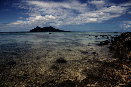 Oceania 21 : les &icirc;les du Pacifique pour une &laquo;r&eacute;volution internationale&raquo; sur le climat | Biodiversit&eacute; | Scoop.it