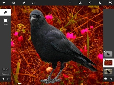 Photoshop Touch gives images the full treatment on the go | Macworld | Image Effects, Filters, Masks and Other Image Processing Methods | Scoop.it