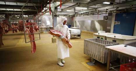 Pourquoi les abattoirs, « corps-à-corps entre la carcasse et l’homme », sont vulnérables au Covid-19 | La Gazette des abattoirs | Scoop.it