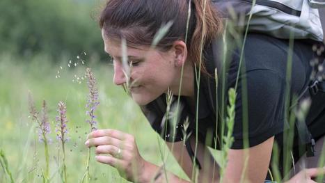 F&ecirc;te de la Nature dans les Hauts de France | Nature en ville | Scoop.it