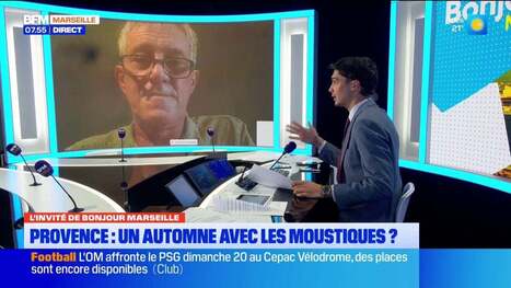 Virus West Nile, moustique en Provence... Fr&eacute;d&eacute;ric Simard, entomologiste, est notre invit&eacute; | Vari&eacute;t&eacute;s entomologiques | Scoop.it