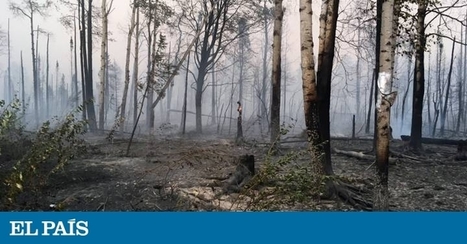 #CambioClimático: Los enormes incendios forestales en el Ártico lanzan una alerta planetaria | Ciencia | ¿Qué está pasando? | Scoop.it