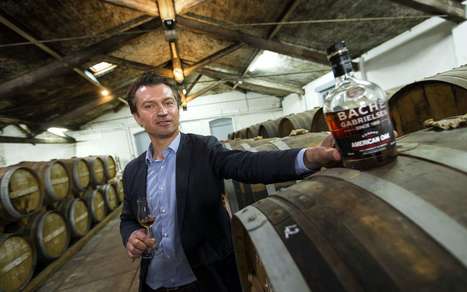 Le chêne américain agite la filière cognac | Le Cognac et son vignoble | Scoop.it